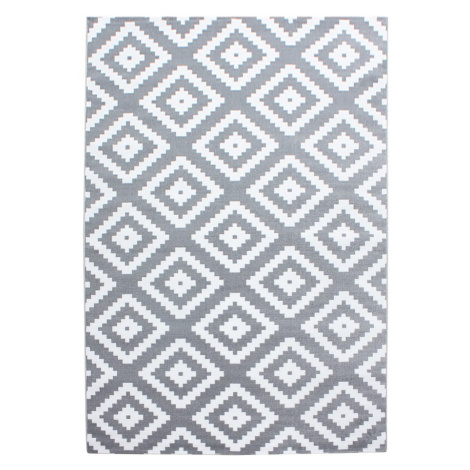 Svetlosivý koberec 160x230 cm Plus – Ayyildiz Carpets