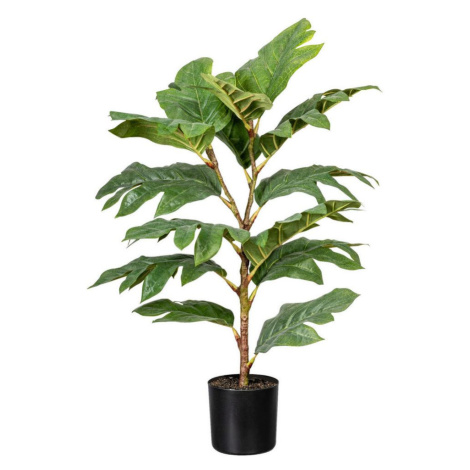 Umelá Rastlina Artocarpus I Möbelix