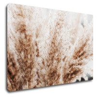 Impresi Obraz Suchá tráva škandinávsky štýl - 90 x 60 cm