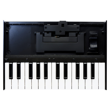 Roland K-25m