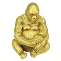 Signes Grimalt  Orangutan  Sochy Zlatá