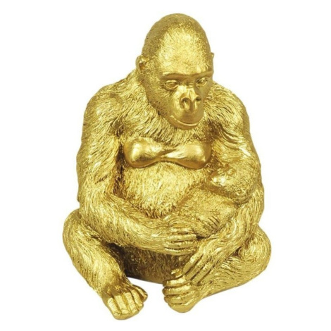 Signes Grimalt  Orangutan  Sochy Zlatá
