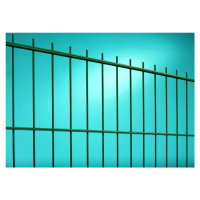 Betafence Sp.z o.o. PANEL NYLOFOR® 2D SUPER - ZELENÝ, 1630 x 2500 / 200 x 50 / 6.0 mm