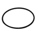Marimex | O-krúžek nádoby pre filtraciu BlackStar a ProStar 2m3/h | 10624105