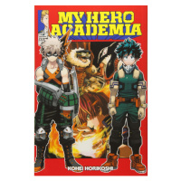 Viz Media My Hero Academia 13