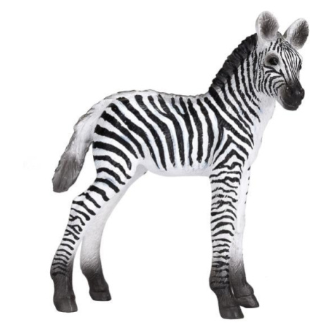 Mojo Zebra mláďa novinka