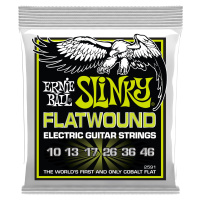 Ernie Ball 2591 Regular Slinky Flatwound