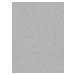 Kusový koberec Nasty 101595 Silber Rozmery kobercov: 160x240