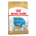 Royal Canin BHN CHIHUAHUA PUPPY granule pre šteňatá čivavy 500g