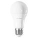 TechToy Smart Bulb RGB 9W E27