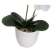 Umelý kvet (výška  39 cm) Orchid – Casa Selección