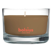 Sviečka bolsius Jar True Scents 50/80 mm, škorica/jablko