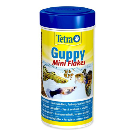 Krmivo Tetra Guppy Food 250ml