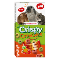 Maškrta Versele Laga Crispy Crunchies Fruit pre hlodavce - s ovocím 75g