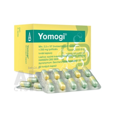 Yomogi