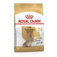 Royal Canin Bichon Frise Adult 0,5 kg