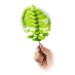 Kinetický strom - Lollipopter zelený
