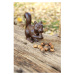 Kovové záhradné sošky v súprave 4 ks Animals – Esschert Design