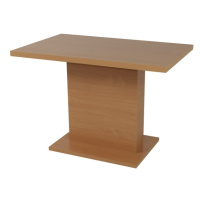 Sconto Jedálenský stôl SHIDA 1 buk, šírka 120 cm