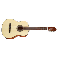 Cort AC100SG