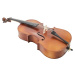 Bacio Instruments Basic Cello (GC102F) 1/2