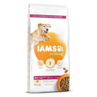 IAMS Dog Senior Large Chicken 12kg