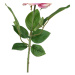 Umelá kvetina (výška 43 cm) Rose – Ixia