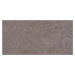 Dlažba Pastorelli Biophilic dark grey 60x120 cm mat P009416