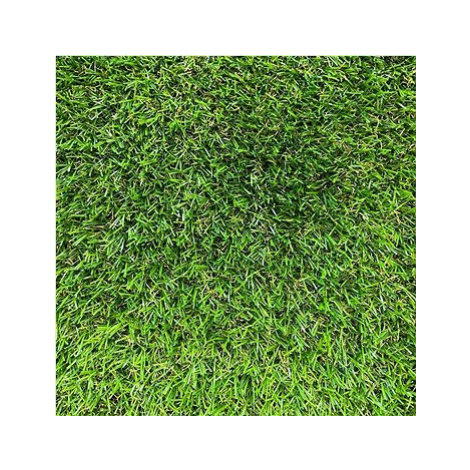 Trávny koberec Bermuda 200 × 300 cm Vopi