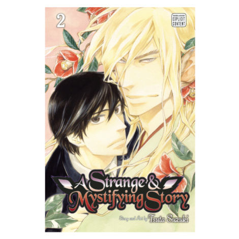 Viz Media A Strange and Mystifying Story 02