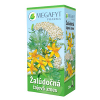 MEGAFYT Žalúdočná čajová zmes 20 x 1.5 g