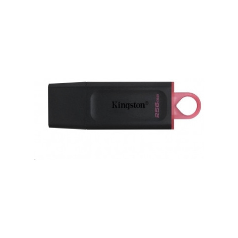 Kingston USB 3.2 Gen 1 DataTraveler Exodia 256 GB