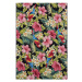 Kusový koberec Flair 105619 Tropical Feeling Multicolored – na ven i na doma - 120x180 cm Hanse 