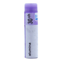 ALUMINA CH30 granule 4 g