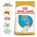 Royal canin Plemeno Fr. Bulldog Junior 3 kg