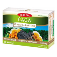 TEREZIA Čaga+ reishi a rakytník 60 kapsúl