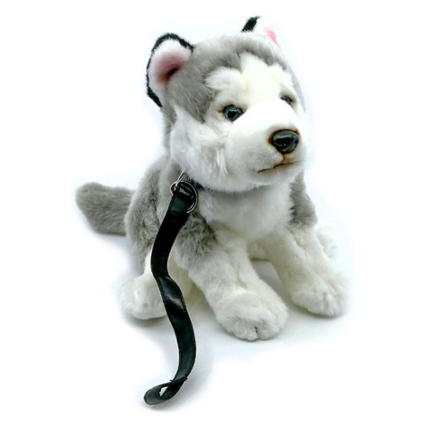 Plyš Husky s vodítkom 24 cm