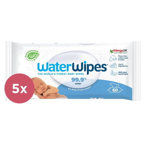 5x WATERWIPES Vlhčené obrúsky bez obsahu plastov 60 ks ( 300 ks )