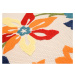 TA Farebný kvetinový koberec Flora Rozmer: 160x230 cm