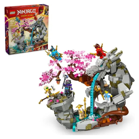 LEGO ® 71819 Chrám dračieho kameňa