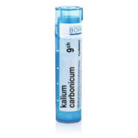 KALIUM CARBONICUM CH9 granule 4 g