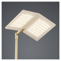 BANKAMP Book stojaca LED lampa, mosadz