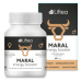 LIFTEA Maral energy booster 60 tabliet