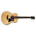 Taylor GS Mini Sapele