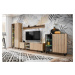 Expedo TV stolík LIAMA 2, 160x52x45, hickory jackson/čierna