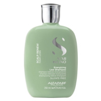 ALFAPARF MILANO Semi Di Lino Scalp Renew Posilňujúci šampón 250 ml