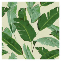 MINDTHEGAP Banana Leaves - tapeta