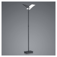 LED stojacia lampa Dual CCT, stmievateľná, čierna