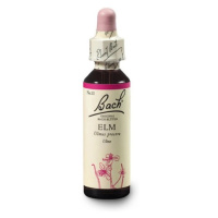 ORIGINAL BACH® Elm 20 ml