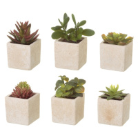 Umelé rastliny v súprave 6 ks (výška  9,5 cm) Cactus – Casa Selección